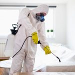 شركة تعقيم بالقطيف