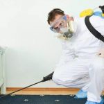 شركة تعقيم بالقطيف