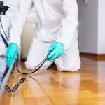 شركة تعقيم منازل بالدمام